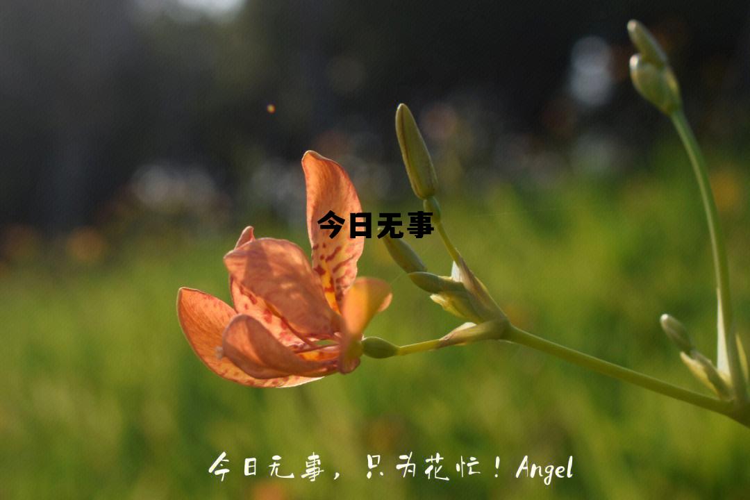 今日无事 今日无事勾栏听曲 今日无事 今日无事勾栏听曲